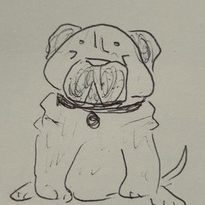 Meet your Posher, Jo